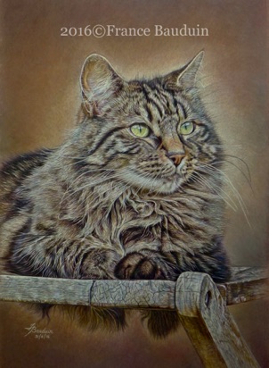 Griffin - 58 hours
Brown Pastelmat Board
18.5" x 13.5"
Our Griffin again born in 2012Griffin on a chair - 64copb.jpg